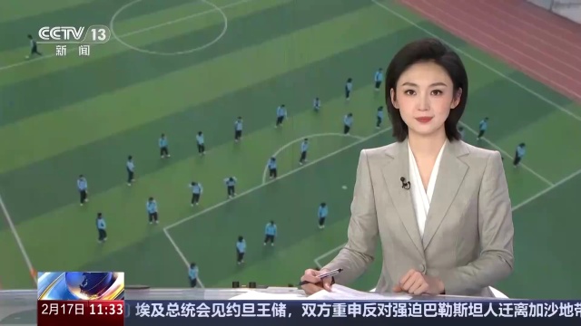 荷兰的整体
