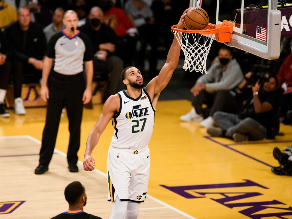 带来了新的 带来了新的